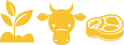 Risorsa 14logoe